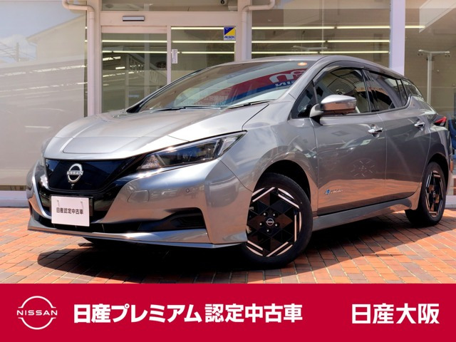 リーフ e+ X 