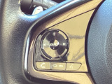 ステアリングにハンズフリー通話スイッチを装備。運転中でも手を離さずに通話操作ができるため、家族との連絡や急な電話にも安心して対応できます。