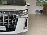 三眼LEDヘッドライト&シーケンシャルウィンカー(流れるウィンカー)&AHS(アダプティブ・ハイビーム・システム)・LEDフォグランプ付き!!
