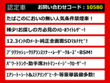 LS 460 バージョンC Iパッケージ 全画面SDナビ本革シート