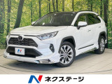 純正10型ナビ 全周囲カメラレーダークルーズ コーナーセンサー ETC