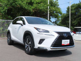 NX 300h Iパッケージ 