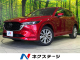 ディーゼル(軽油) 10.25純正SDナビ 全周囲カメラ