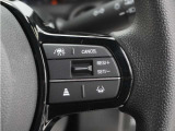 ◆アダプティブクルーズコントロール◆予め設定した車速内でクルマが自動的に加減速。前走車との適切な車間距離を維持しながら追従走行します。【LKAS】車線維持支援システムでステアリング操作を支援。