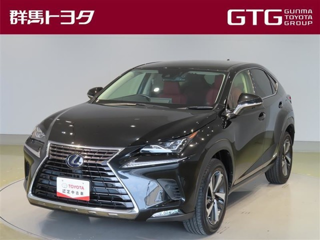 NX 300h Iパッケージ
