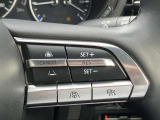 車速を一定に保つクルーズコントロール機能を搭載。高速道路などで長距離をドライブされる際などに、とても便利な機能です。