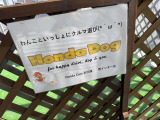 ワンちゃんも一緒にお車選びできます