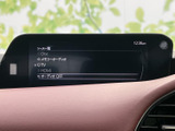 DVDやメモリーオーディオなど、様々な映像コンテンツを楽しめます。後席での移動時間も飽きさせません。家族での長距離移動に最適です。