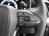 レーダークルーズコントロール作動時に車線維持に必要な運転操作の支援を行う「レーントレーシングアシスト(LTA)」を搭載しています。