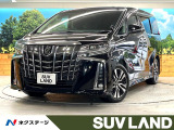 純正10型SDナビ 後席モニター バックカメラ 両側電動ドア フルセグ