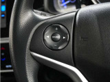 ハンドルにオーディオ操作用スイッチを備え、手を放さずに操作可能。安全性と利便性を両立しています。