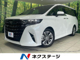 左右独立ムーンルーフ 両側電動スライドドア 純正14型ナビ 全周囲カメラ