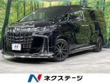 4WD 寒冷地仕様 モデリスタエアロ 両側電動ドア 11型BIG-X