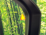 【後方車輛検知】走行中、ドアミラーの死角になりやすい箇所に後続車が接近するとサイドミラー付近に警告を表示、ドライバーに注意喚起をしてくれます。