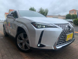 UX 250h グレイスフル エクスプローラー 