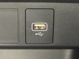 アクセサリーソケットの横にはナビゲーション用の外部入力可能なUSB端子がついています。