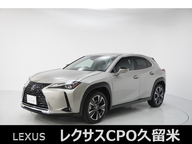 UX 250h バージョンC
