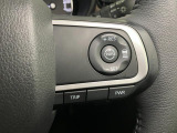 全車速追従機能付ACC(アダプティブクルーズコントロール)付