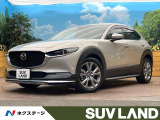 純正SDナビ 全周囲カメラ ブラインドスポットモニター
