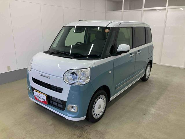 ムーヴキャンバス  ストライプス G