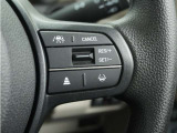 ◆アダプティブクルーズコントロール◆予め設定した車速内でクルマが自動的に加減速。前走車との適切な車間距離を維持しながら追従走行します。【LKAS】車線維持支援システムでステアリング操作を支援。
