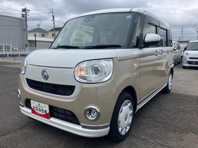 ムーヴキャンバス G メイクアップ リミテッド SAIII