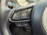 安全装備関連のスイッチもまとめられています!