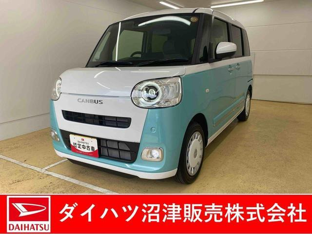 ムーヴキャンバス ストライプス G