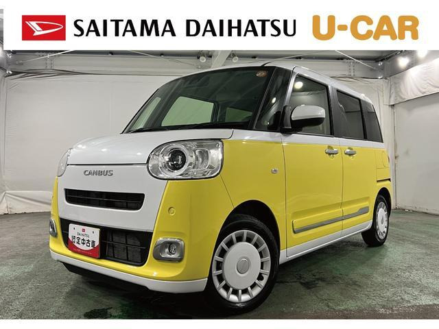 ムーヴキャンバス  ストライプス G