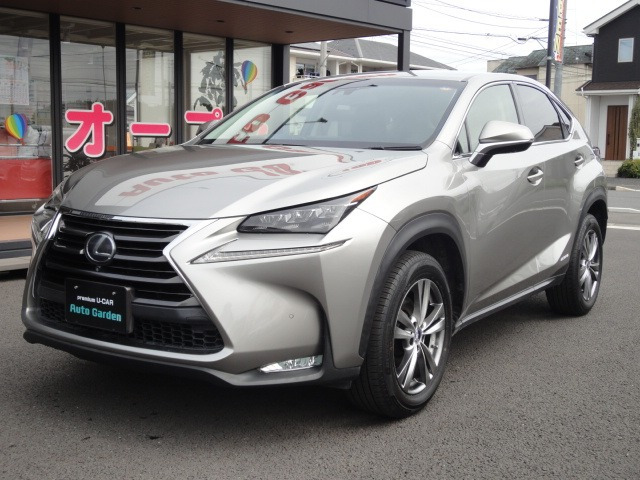 NX 300h Iパッケージ