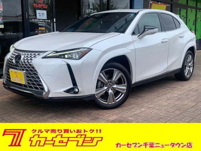 UX 250h グレイスフル エクスプローラー