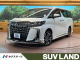モデリスタエアロ 後席モニター 両側電動スライドドア バックカメラ