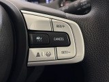 追従型クルーズコントロールスイッチです