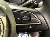 【クルーズコントロール】高速道路もラクラク走行。アクセルを離しても一定速度で走行ができ、長距離運転時の負担を軽減!加速・減速も簡単なスイッチ操作で調整できます。