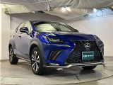 NX 300 Fスポーツ 