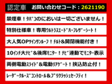ヴェルファイア 2.5 Z Aエディション ゴールデンアイズ 10インチナビ リアモニター