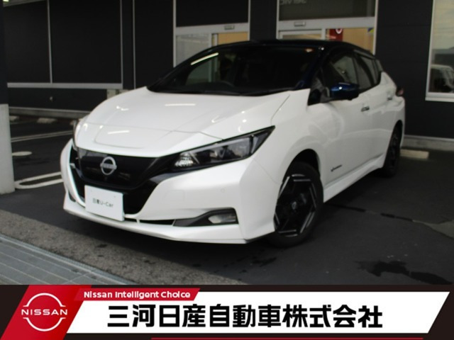 リーフ e+ X 