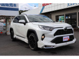 RAV4 2.0 X 