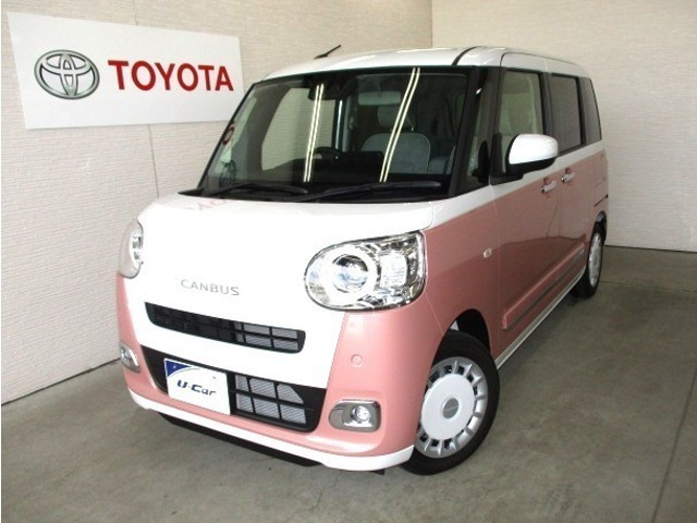 ムーヴキャンバス  ストライプス G