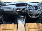 UX 250h 