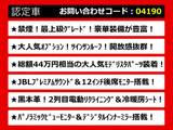 アルファード 3.5 エグゼクティブ ラウンジ S モデリスタ JBLリアエンタ