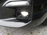 LEDフォグランプ付です