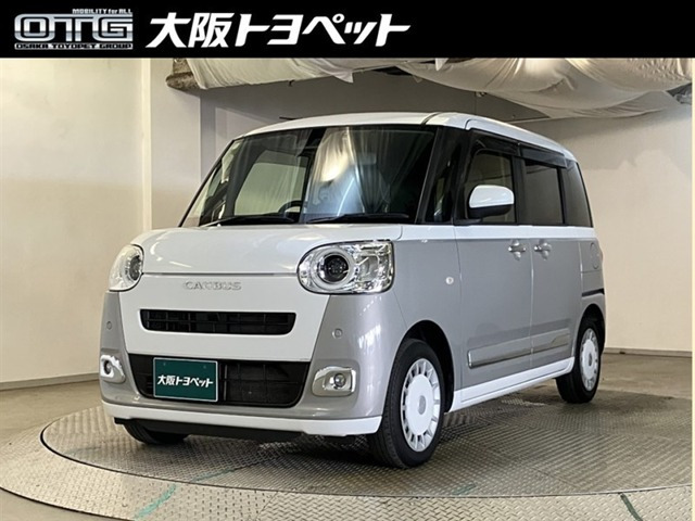 ムーヴキャンバス  ストライプス G
