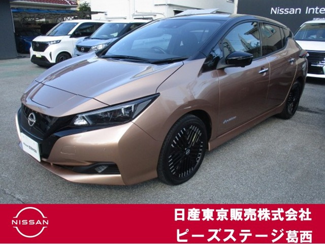 リーフ  X Vセレクション
