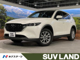 純正10型ナビ 全周囲カメラ 衝突軽減 レーダークルーズ
