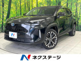 ナビ機能付きディスプレイオーディオ 全周囲カメラ レーダークルーズ