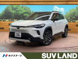 ガラスルーフ 純正10型ナビ バックカメラ 100V電源