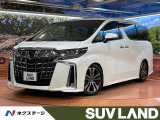 純正SDナビ 後席モニター 全周囲カメラ JBLサウンド 100V電源