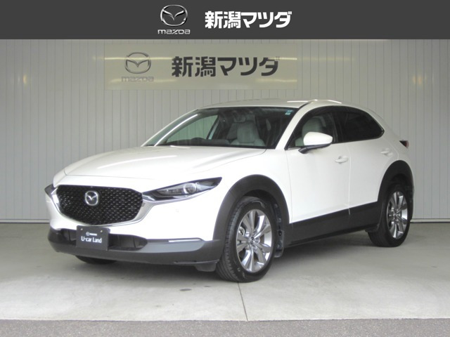 CX-30 2.0 20S Lパッケージ