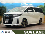 BIG-X11インチナビ サンルーフ 両側電動ドア 後席モニター
